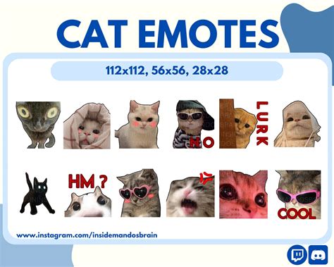 Emoticonos De Gato Twitch Paquete De Gestos De Discordia Etsy España