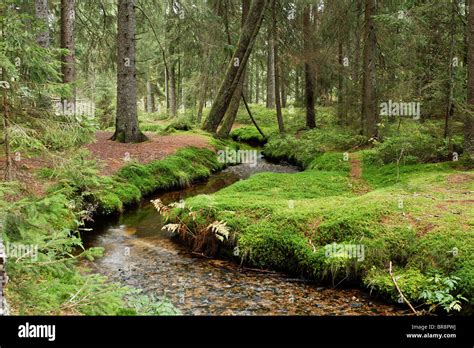 Bernau Schwarzwald Hi Res Stock Photography And Images Alamy