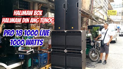 HALIMAW BOX HALIMAW DIN ANG TUNOG LIVE PRO 18 1000 KEVLER KRX625D