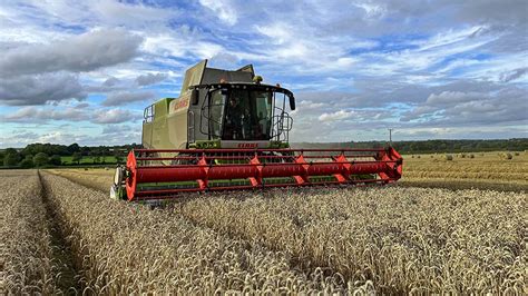 Harvest 2023 Only 5 Of Wheat And Spring Barley Cut Farmers Weekly