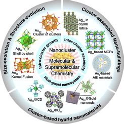 Intra Cluster Growth Meets Inter Cluster Assembly The Molecular And