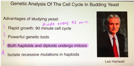 Topic Flashcards Quizlet