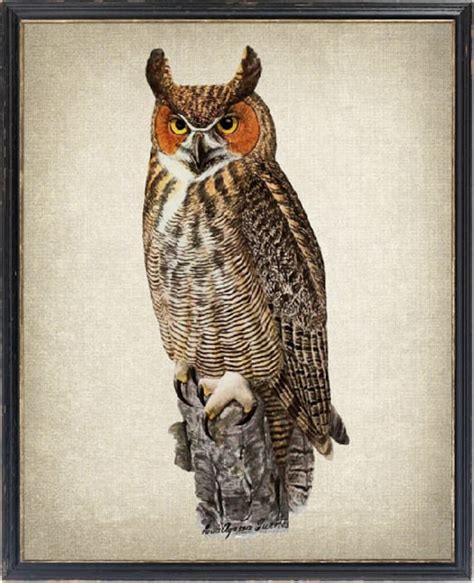 Great Horned Owl Art