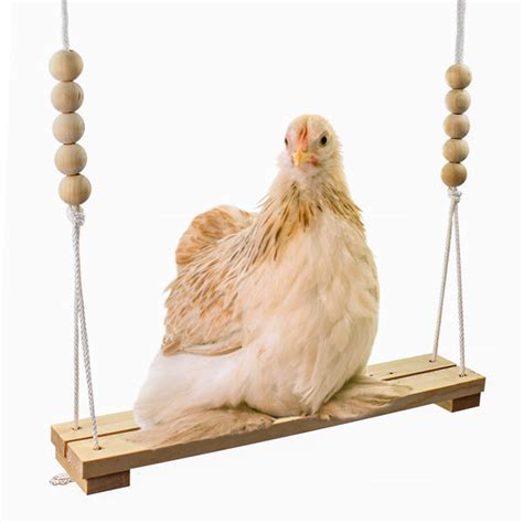 Perches And Swings Made In Usa Backyard Barnyard