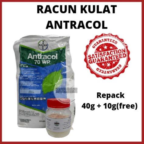 ANTRACOL 70 WP Racun Kulat Fungicide Shopee Malaysia