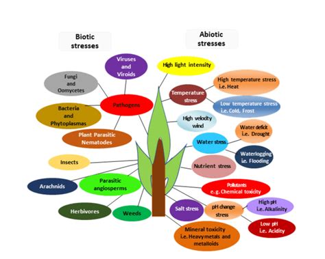 List Of Biotic And Abiotic Stresses A Higher Resolution Colour Download Scientific Diagram