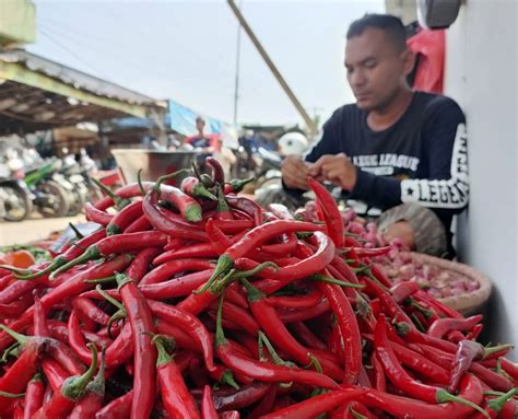 Bahan Pokok Di Pasar Leuwiliang Bogor Alami Kelonjakan Harga Cabai