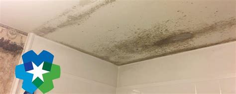 Ceiling Leaks - Prevention & Signs To Look For - MasterTech Mold