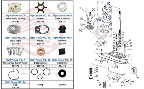 Amazon Uanofcn Water Pump Impeller Kit Replaces Johnson