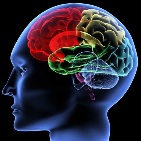 psychology brain hd wallpapers top  psychology brain hd