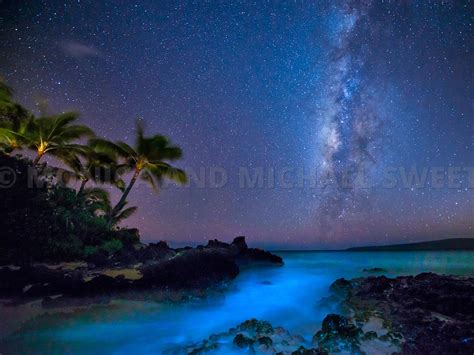 Michael Swiet Photography Maui Hawaii Sweet Starlight Cove