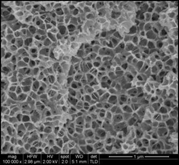 Example of nanofoam from blend of styrene-acrylonitrile and an acrylic... | Download Scientific ...