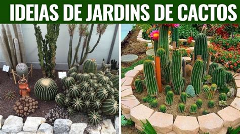 Id Ias De Jardins De Cactos Para Voc Usar Como Inspira O Youtube