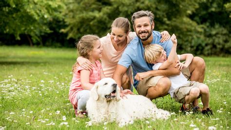 Las Mejores Razas De Perros Para Familias Con Ni Os