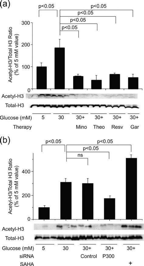 Regulation Of Histone H3 Acetylation By Manipulating HAT Or HDAC A