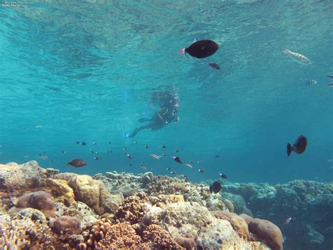 Nikky Throne In The Crack 667 Complete Full Size Picture Set Tsaoleo S Photo Albums Nude