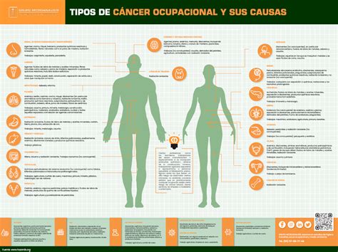 Tipos De C Ncer Ocupacional Y Sus Causas Infograf A Descargable