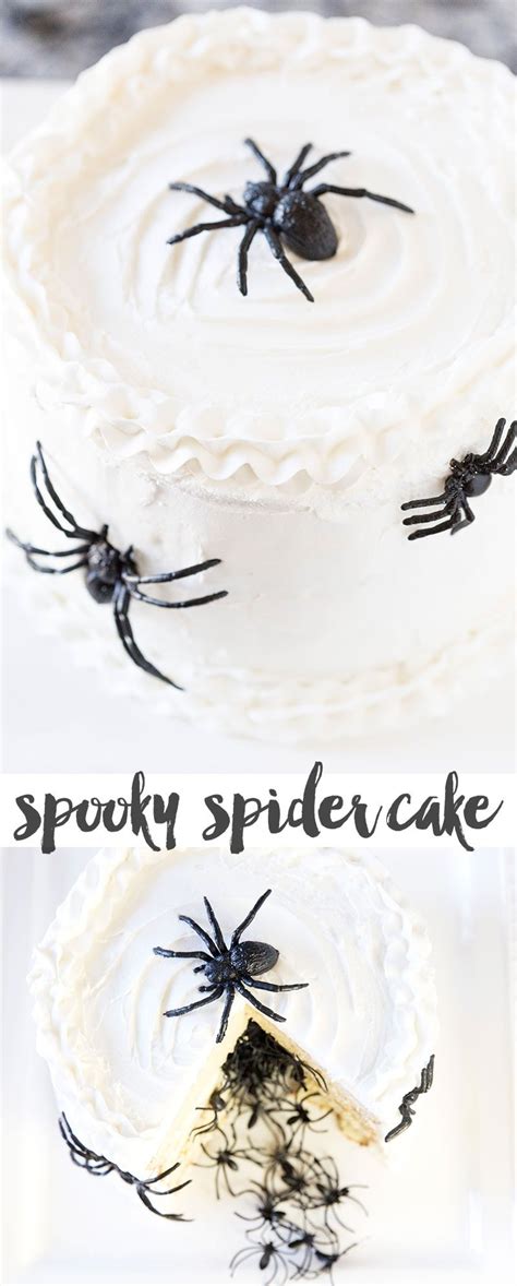 Halloween Spider Cake DIY Tutorial & Recipe