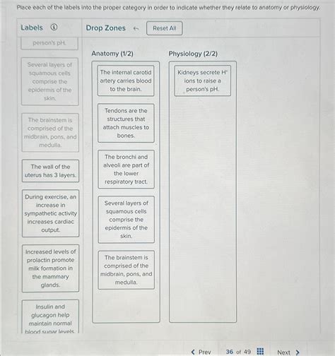 Solved Place Each Of The Labels Into The Proper Category In