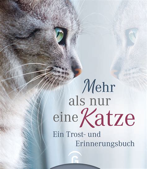 Schon Verstorbene Katzen Spr Che Zum Nachdenken