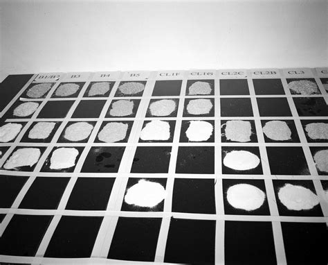 A Photographic Journey through Saint-Germain-des-Prés — Blind Magazine