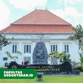 Mengenal Fakultas Kedokteran Universitas Airlangga Bimbel Kedokteran