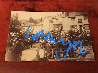 Antique Rp Sandford Postcard Crediton Devon Cattle Market Ebay