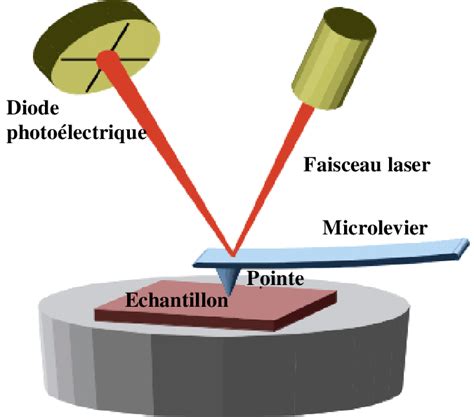 Principe De Fonctionnement D Un Microscope Force Atomique Afm