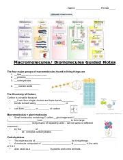 Macromolecules Biomolecules Guided Notes Odt Pdf Name Period