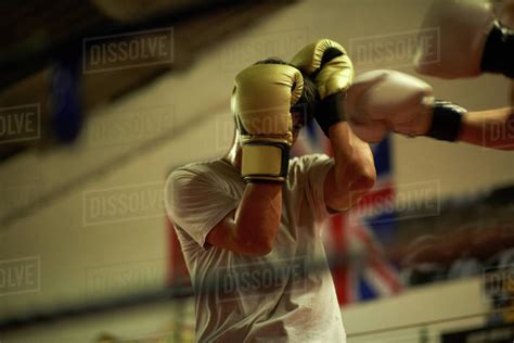 Two Boxers Sparring In Boxing Ring Stock Photo Dissolve