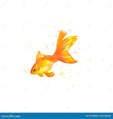 Watercolor Gold Fish Vector Illustration Watercolor Gold Fish Clip