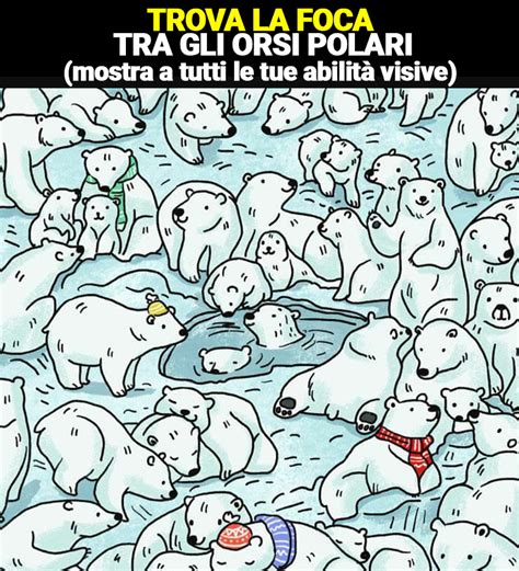 Riesci Ad Individuare La Foca Tra Gli Orsi Polari Solo I Pi Attenti