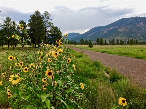 New salt technology will improve future Flagstaff AZ driving conditions 16