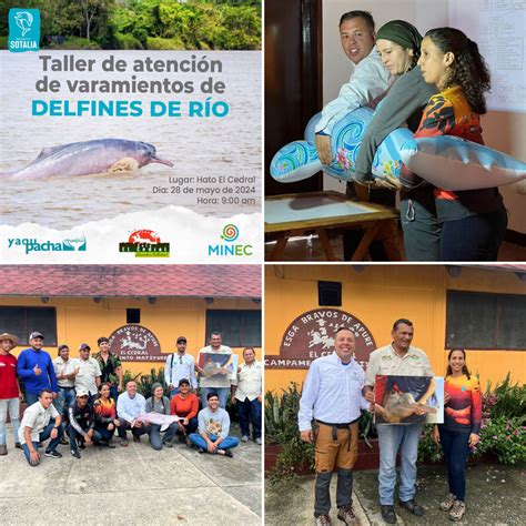 Proyecto Del Delfín De Río En Venezuela Medidas Actuales Yaqu Pacha