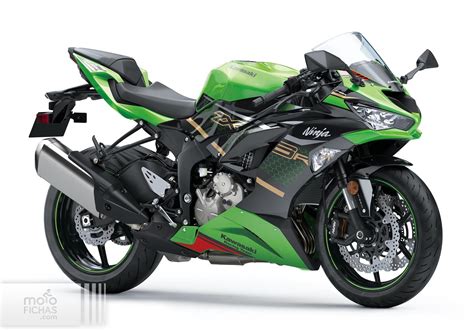 Kawasaki Ninja ZX-6R 2020 - Precio, ficha técnica, opiniones y ofertas