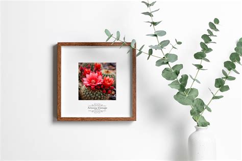 PRINTABLE Barrel Cactus Flower Bloom Close up Picture Digital Download ...