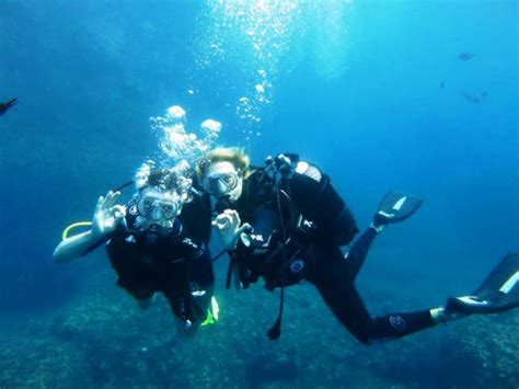 Isola Bella Snorkeling Tour Triphobo