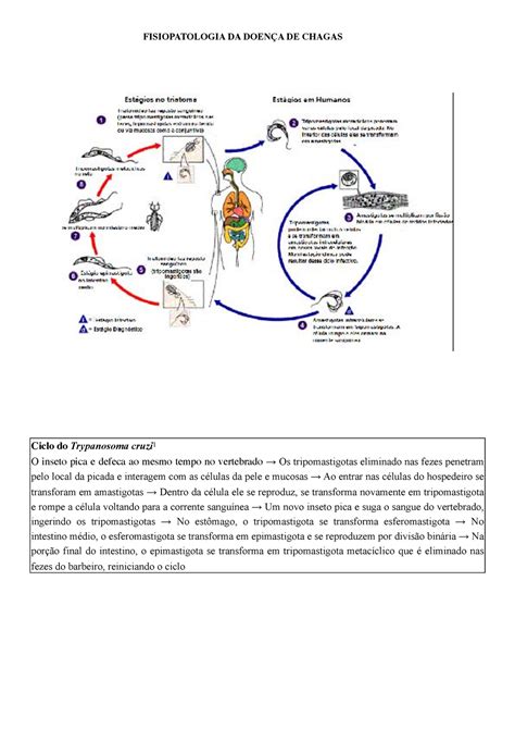 Fisiopatologia Da Doenca De Chagas - Fisiopatologia Doença De Chagas - RETOEDU