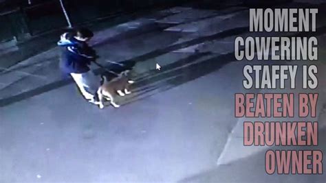 Sickening Cctv Footage Shows Drunken Thug Beating Elderly Dog In Fit