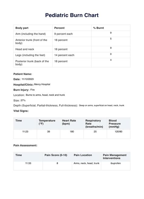 Pediatric Burn Chart Template And Example Free Pdf Download