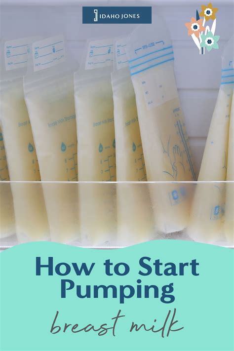 Increase Breast Milk In One Day 5 Easy Ways Artofit