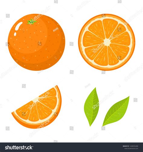 Set Fresh Whole Half Cut Slice Stock Vector Royalty Free 1438555280