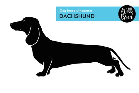 Dachshund Vector Silhouette | Illustrator Graphics ~ Creative Market