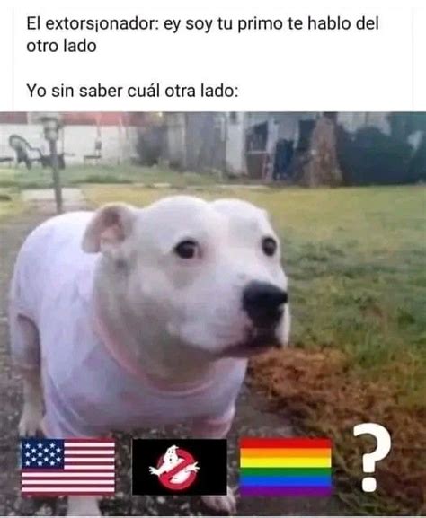 Pin de Foxfinen en JAJAJKJA yo en 2024 Imágenes graciosas Memes