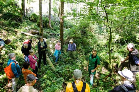 Zu Besuch Im Wald Der Zukunft Bundesforste Laden Zur F Hrung Ins