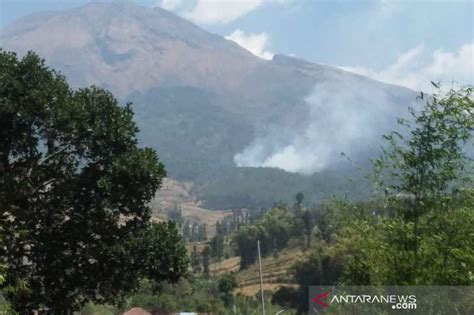 Area Hutan Di Lereng Gunung Sumbing Terbakar Antara News