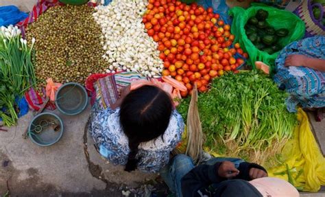 Soberanía alimentaria el camino a seguir