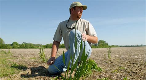 GEEcology: Pigweed for Everyone