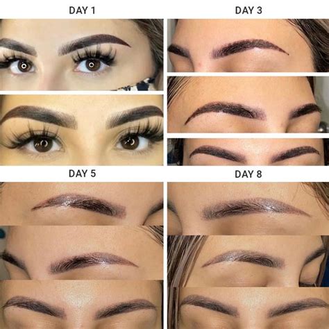 Combination Brows Healing Process All Stages Explained