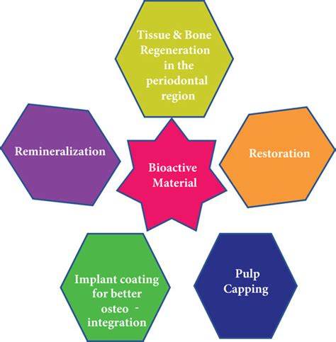 Bioactive material’s impactful role in dentistry. | Download Scientific ...